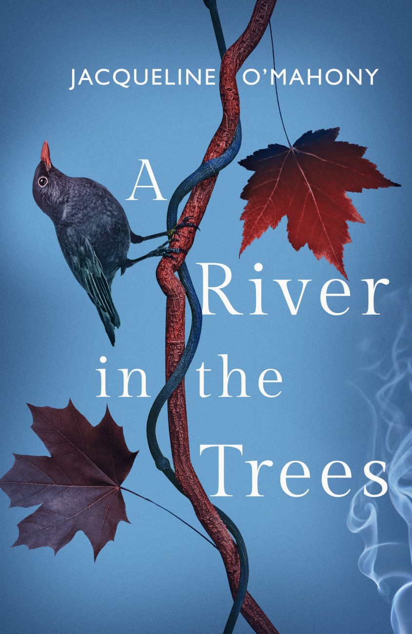 A River in the Trees - Book cover